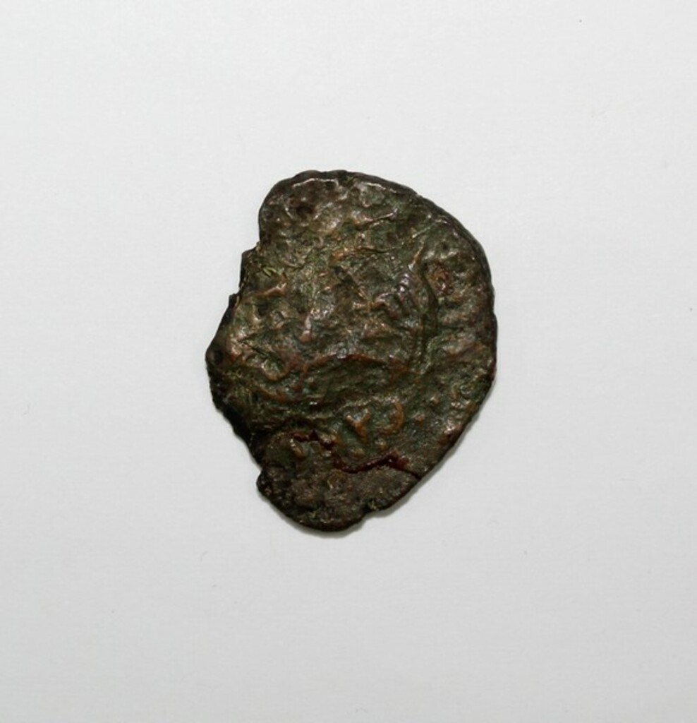 coin rev