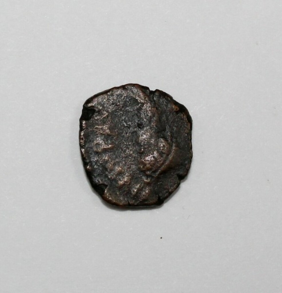 coin rev
