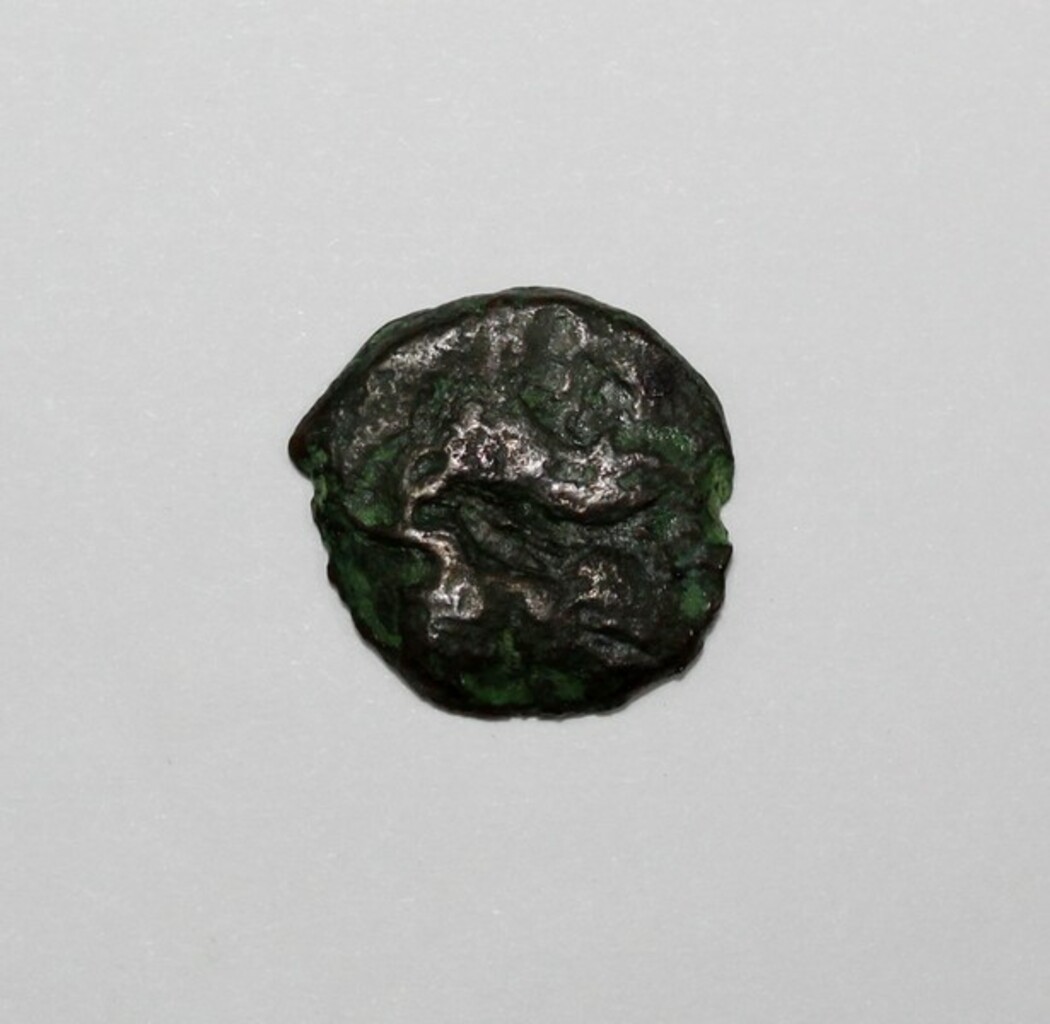 coin rev
