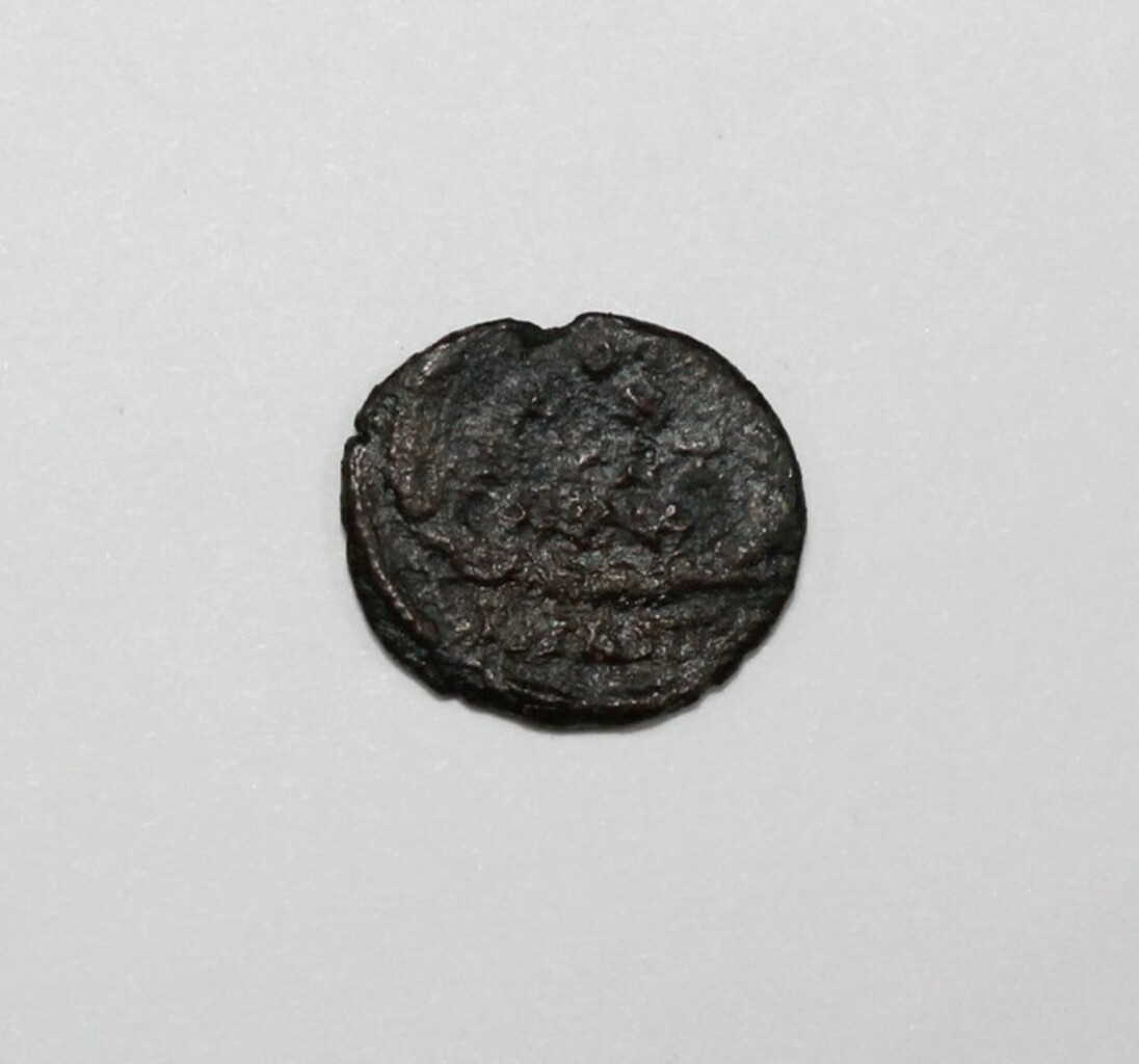 coin rev