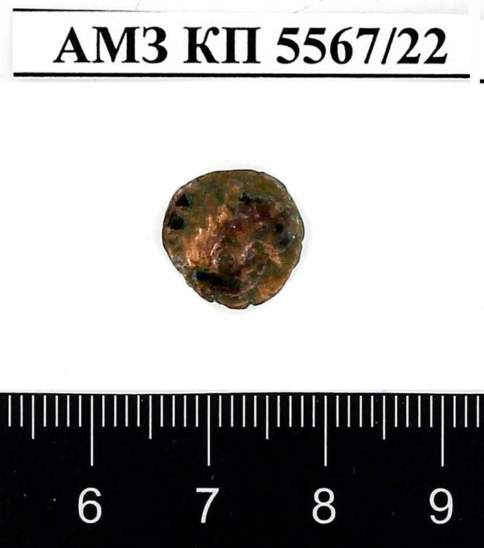 coin rev