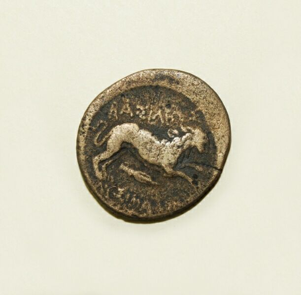 coin rev