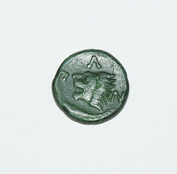 Античная монета · Panticapaeum · III в. до н. э. · без определения, реверс, Государственное бюджетное учреждение культуры "Белгородский государственный историко-краеведческий музей"