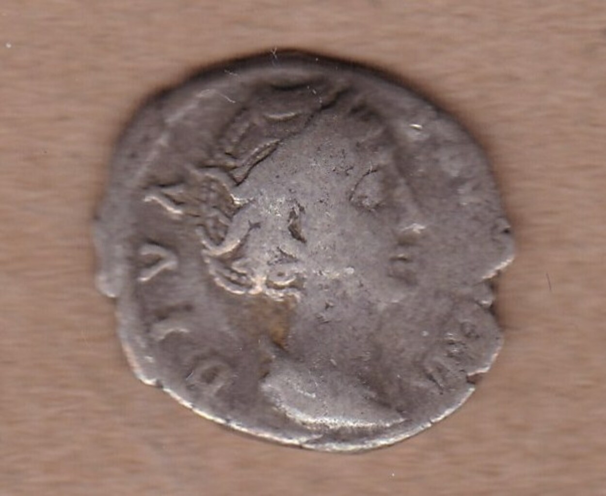 Античная монета · Faustina the Elder · Denarius · I в., аверс, Государственное бюджетное учреждение Ивановской области "Ивановский государственный историко-краеведческий музей имени Д.Г. Бурылина"