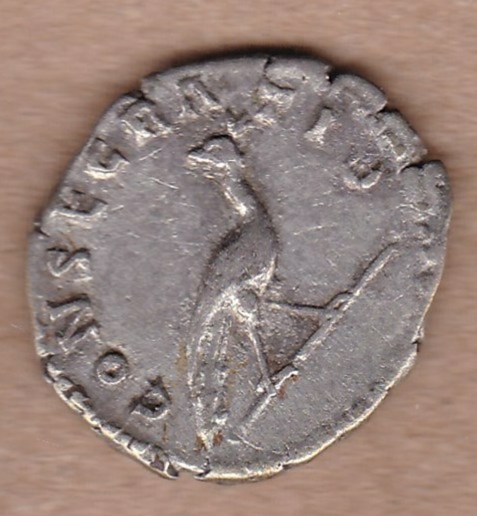 Античная монета · Faustina the Elder · Denarius · I в., реверс, Государственное бюджетное учреждение Ивановской области "Ивановский государственный историко-краеведческий музей имени Д.Г. Бурылина"