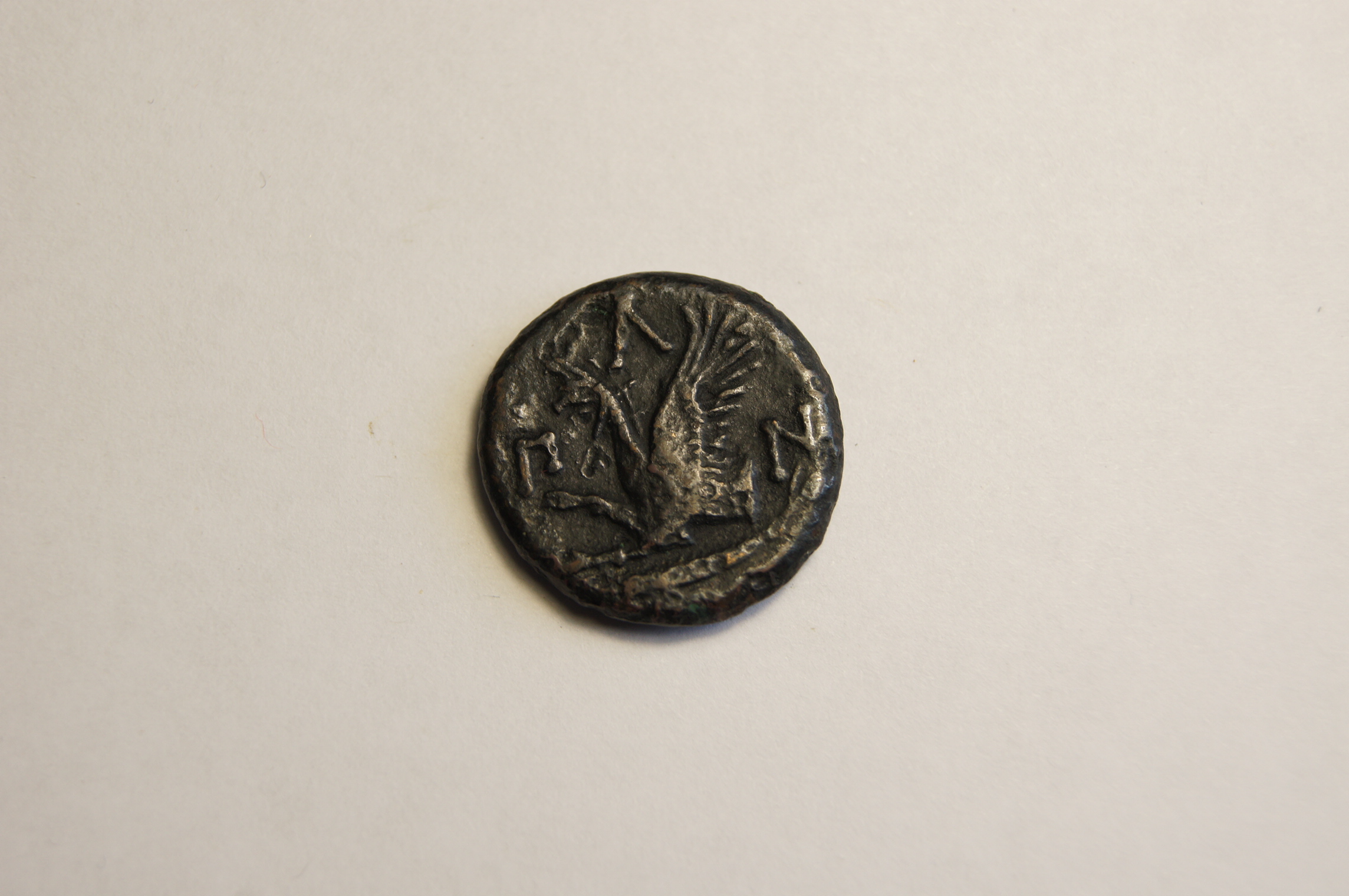 coin rev