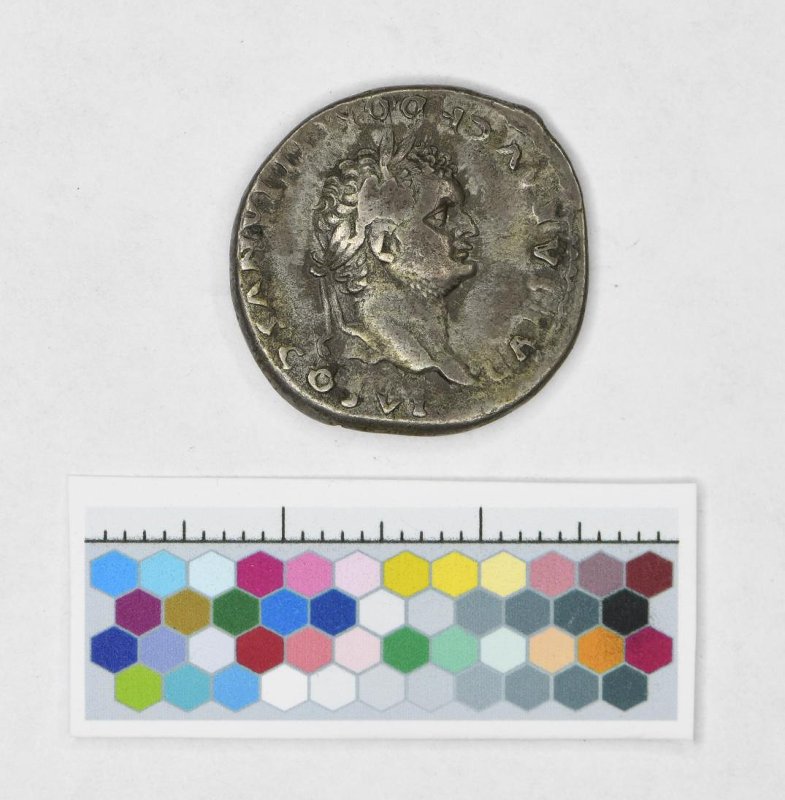 Римская империя · Domitian · Denarius · I в., Федеральное государственное бюджетное учреждение культуры "Государственный исторический музей"