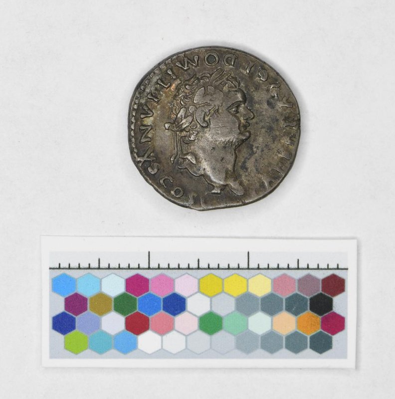 Римская империя · Domitian · Denarius · I в., Федеральное государственное бюджетное учреждение культуры "Государственный исторический музей"