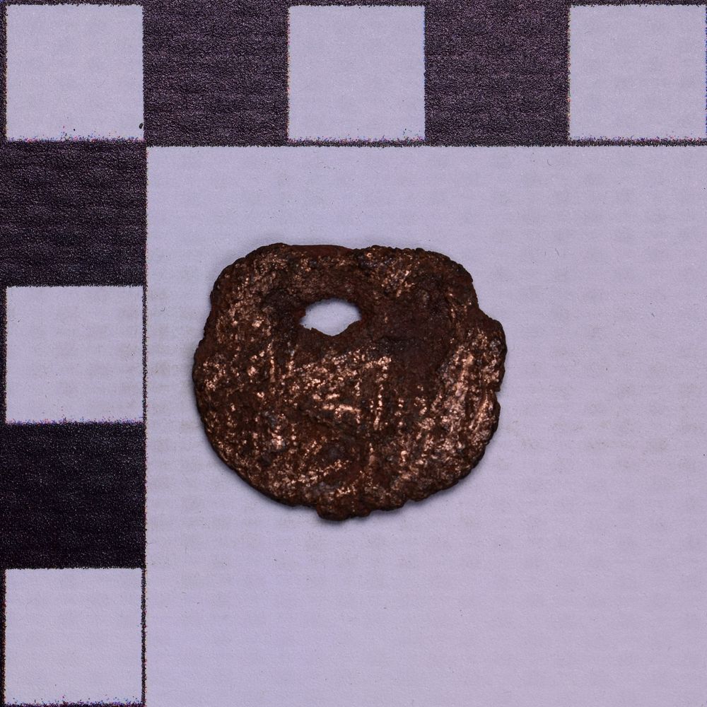 coin rev