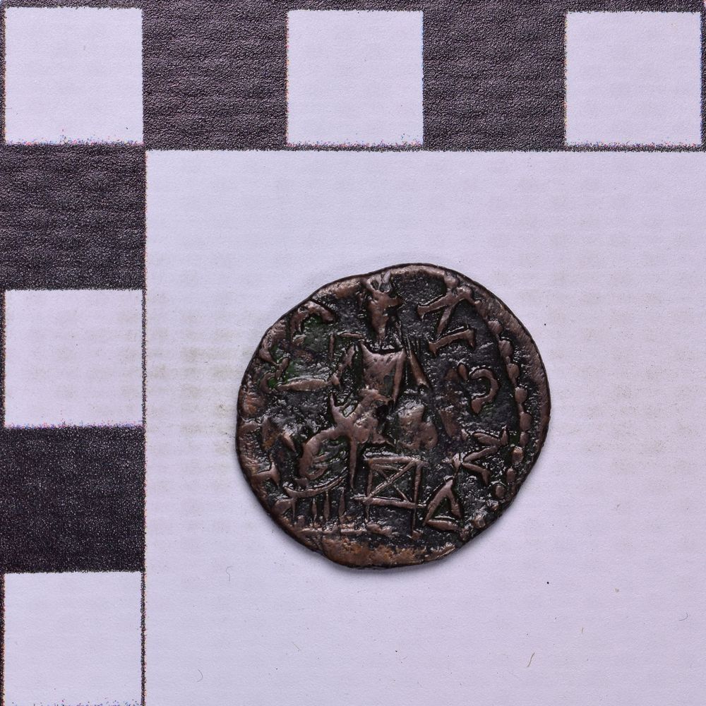 coin rev