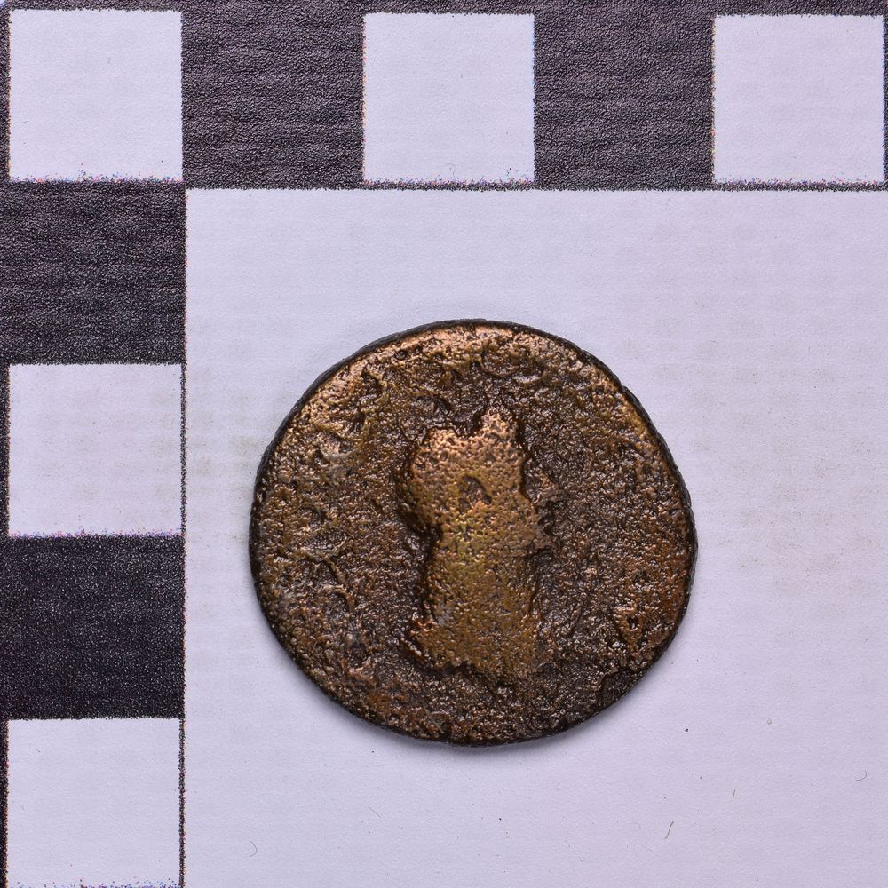 Античная монета · Rhoemetalces I of Thrace · Sestertius · I в., аверс, Государственное бюджетное учреждение культуры Ростовской области "Археологический музей-заповедник "Танаис"