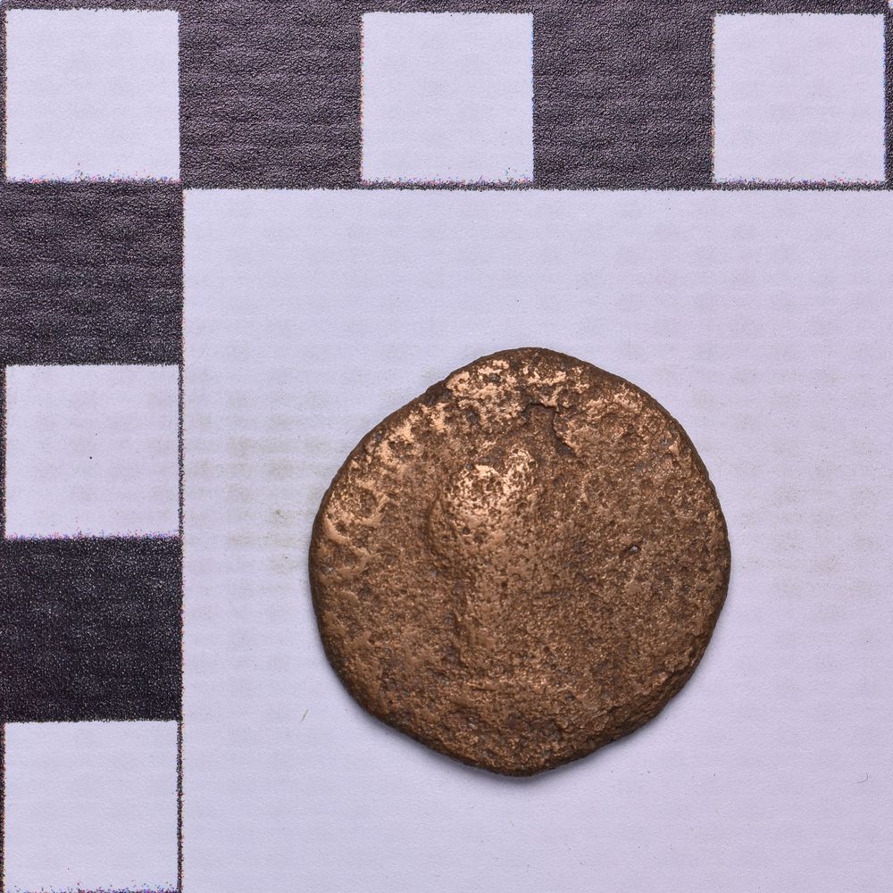 Античная монета · Rhoemetalces I of Thrace · Sestertius · I в., аверс, Государственное бюджетное учреждение культуры Ростовской области "Археологический музей-заповедник "Танаис"