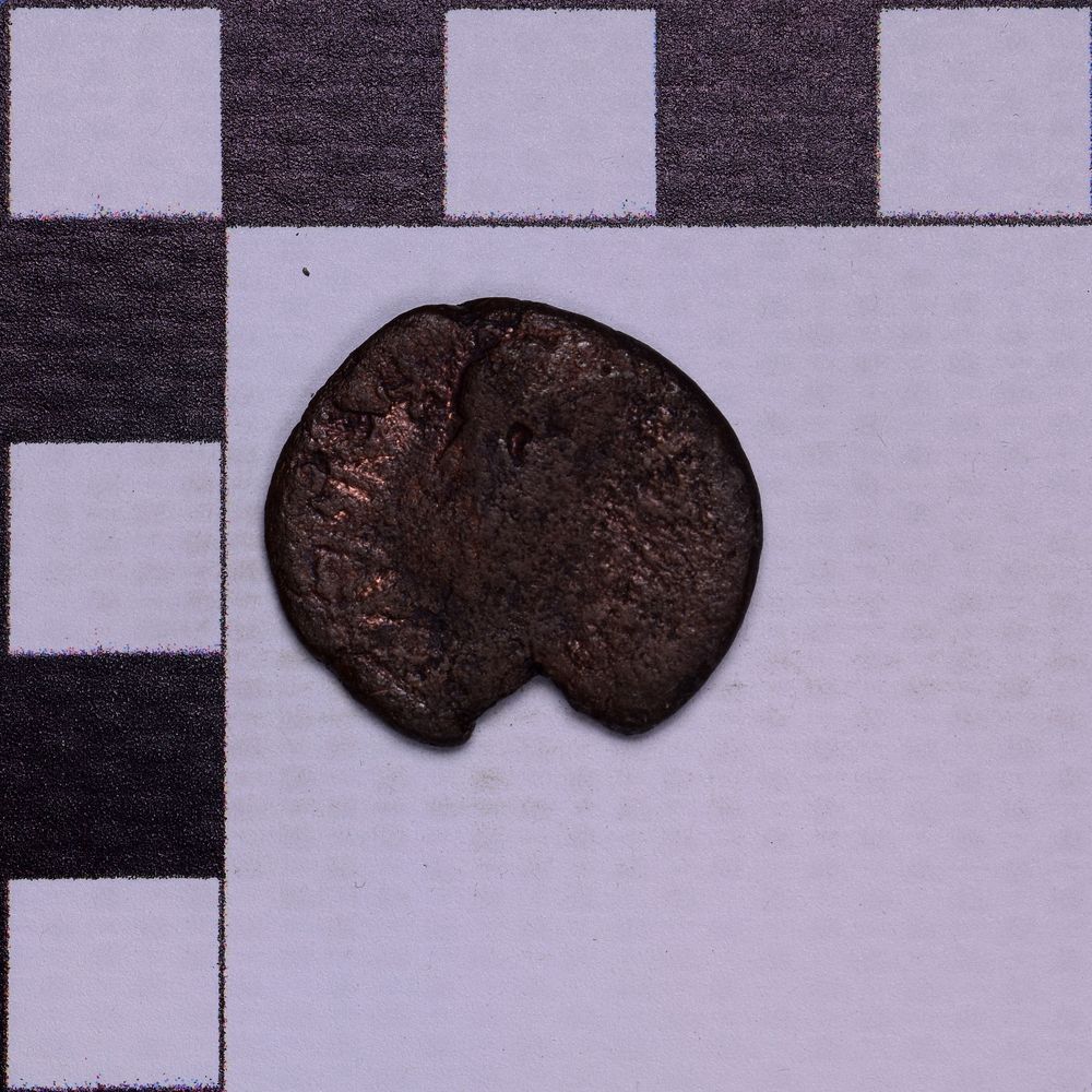 Античная монета · Aspurgus of Bosporus · As · I в., реверс, Государственное бюджетное учреждение культуры Ростовской области "Археологический музей-заповедник "Танаис"