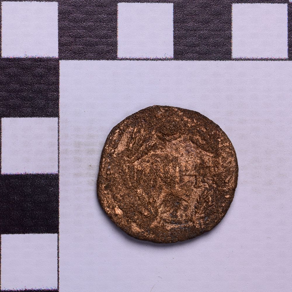 Античная монета · Rhoemetalces I of Thrace · Sestertius · I в., реверс, Государственное бюджетное учреждение культуры Ростовской области "Археологический музей-заповедник "Танаис"
