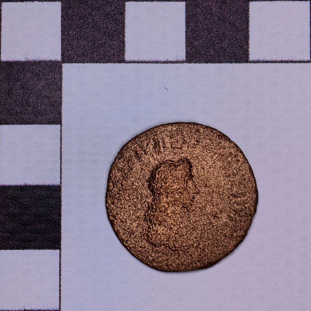 Античная монета · Rhoemetalces I of Thrace · Sestertius · I в., аверс, Государственное бюджетное учреждение культуры Ростовской области "Археологический музей-заповедник "Танаис"