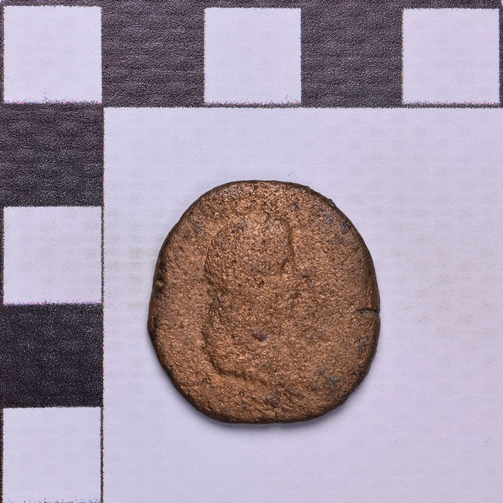 Античная монета · Rhoemetalces I of Thrace · Sestertius · I в., аверс, Государственное бюджетное учреждение культуры Ростовской области "Археологический музей-заповедник "Танаис"