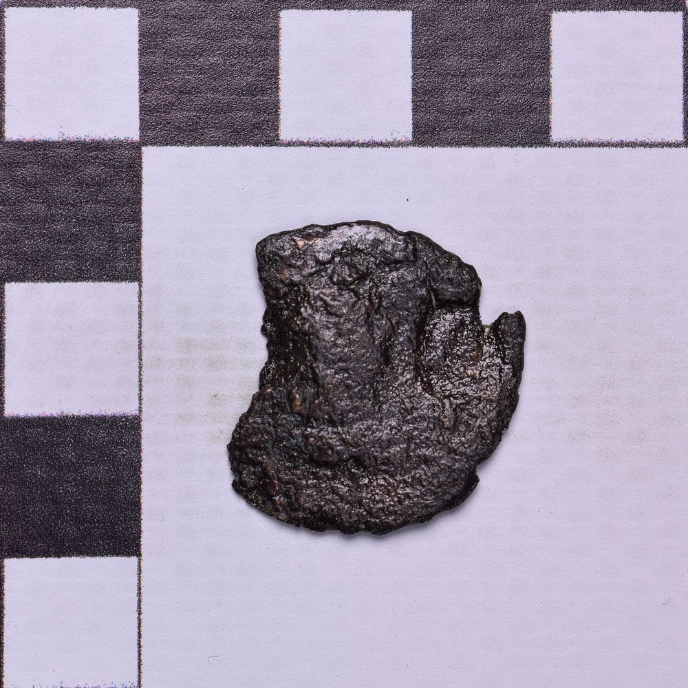 Античная монета · Rhoemetalces I of Thrace · Sestertius · I в., аверс, Государственное бюджетное учреждение культуры Ростовской области "Археологический музей-заповедник "Танаис"