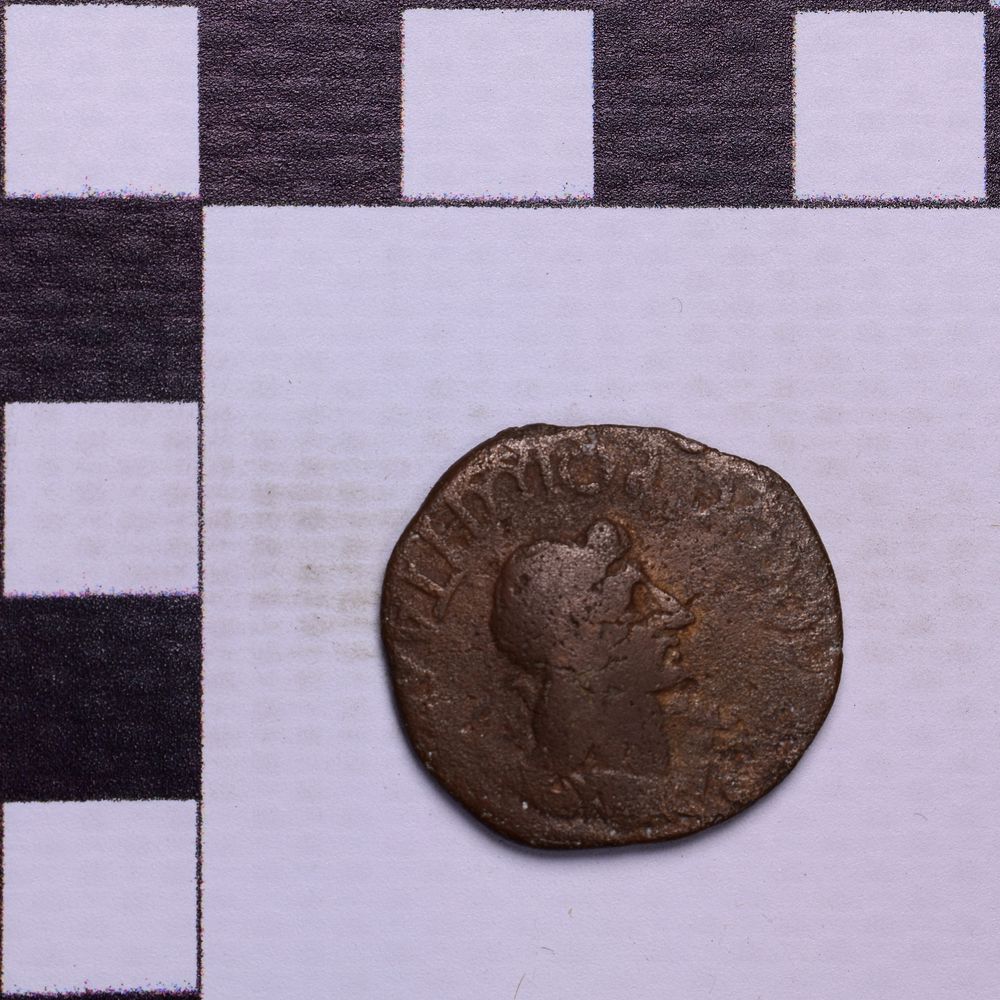 Античная монета · Rhoemetalces I of Thrace · Sestertius · I в., аверс, Государственное бюджетное учреждение культуры Ростовской области "Археологический музей-заповедник "Танаис"