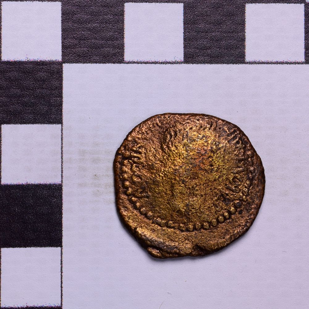 Античная монета · Aspurgus of Bosporus · As · I в., реверс, Государственное бюджетное учреждение культуры Ростовской области "Археологический музей-заповедник "Танаис"