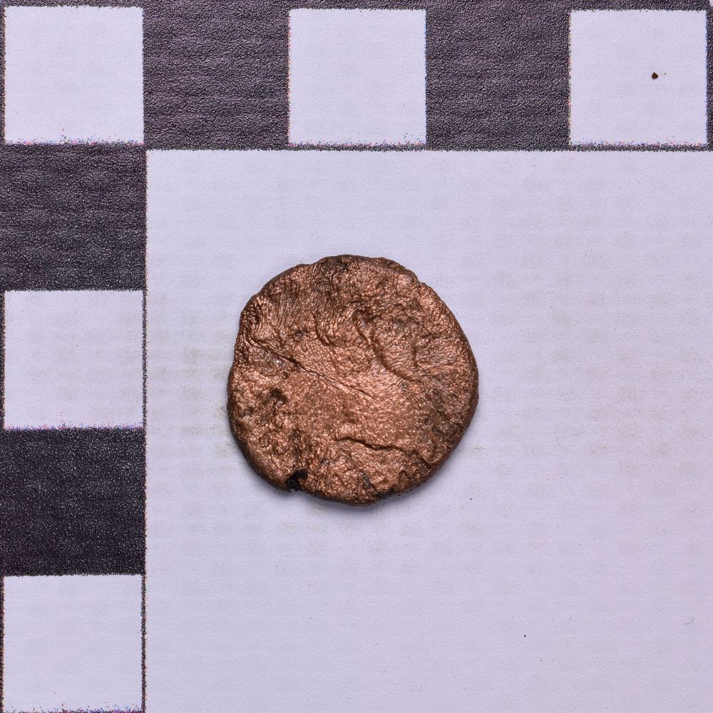 Античная монета · Aspurgus of Bosporus · As · I в., реверс, Государственное бюджетное учреждение культуры Ростовской области "Археологический музей-заповедник "Танаис"