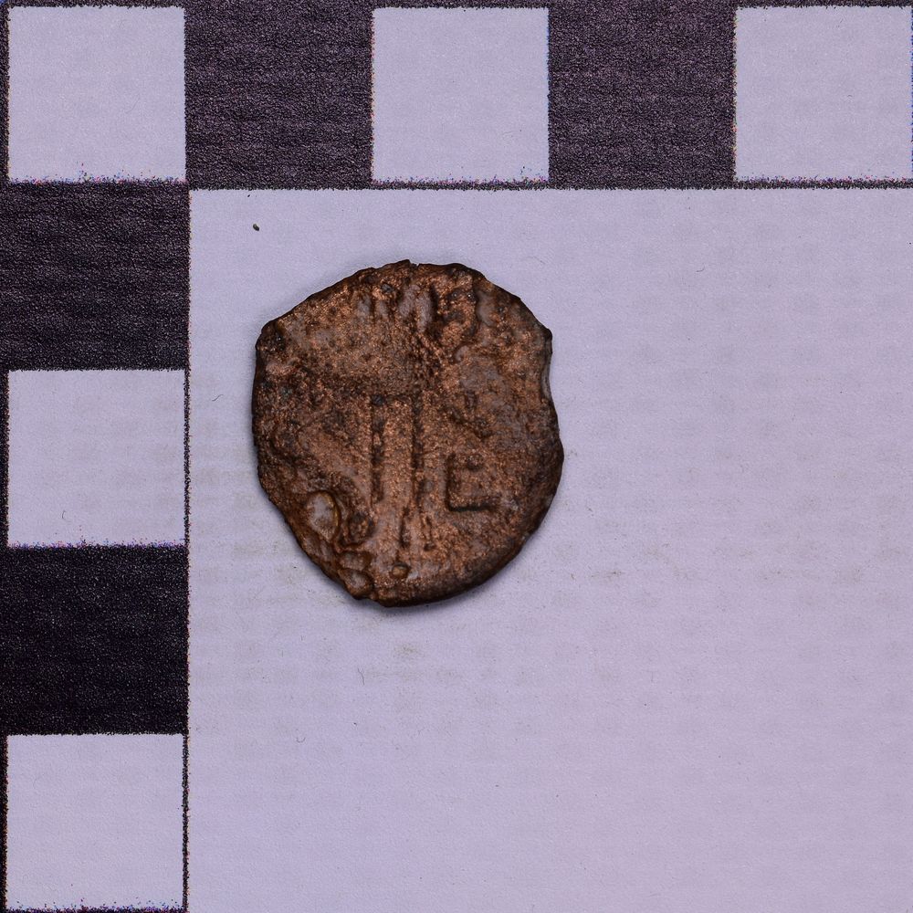 coin rev