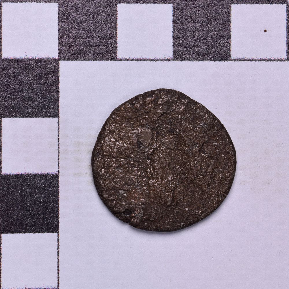 Античная монета · Rhoemetalces I of Thrace · Sestertius · I в., реверс, Государственное бюджетное учреждение культуры Ростовской области "Археологический музей-заповедник "Танаис"