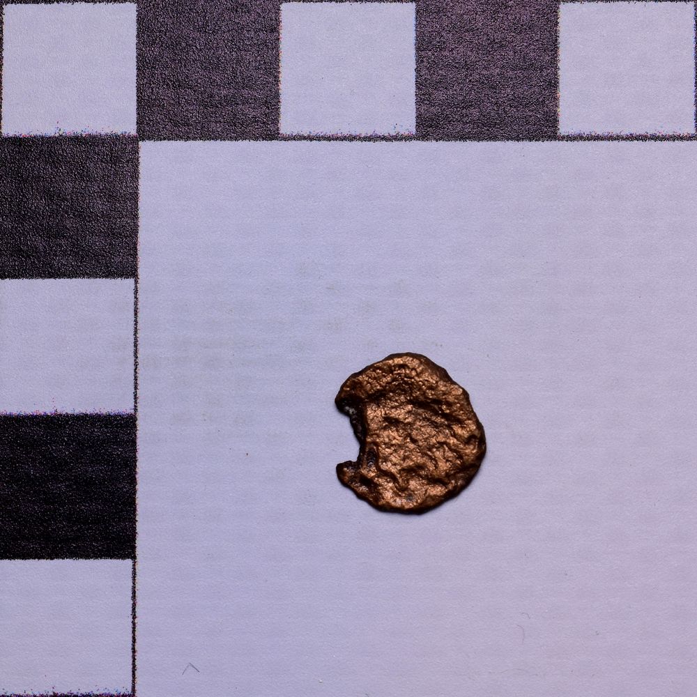 coin rev