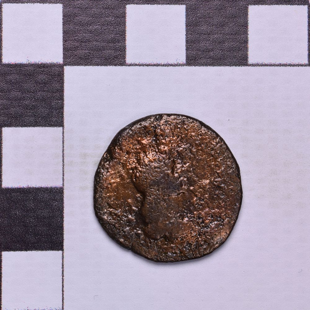 Античная монета · Rhoemetalces I of Thrace · Sestertius · I в., аверс, Государственное бюджетное учреждение культуры Ростовской области "Археологический музей-заповедник "Танаис"