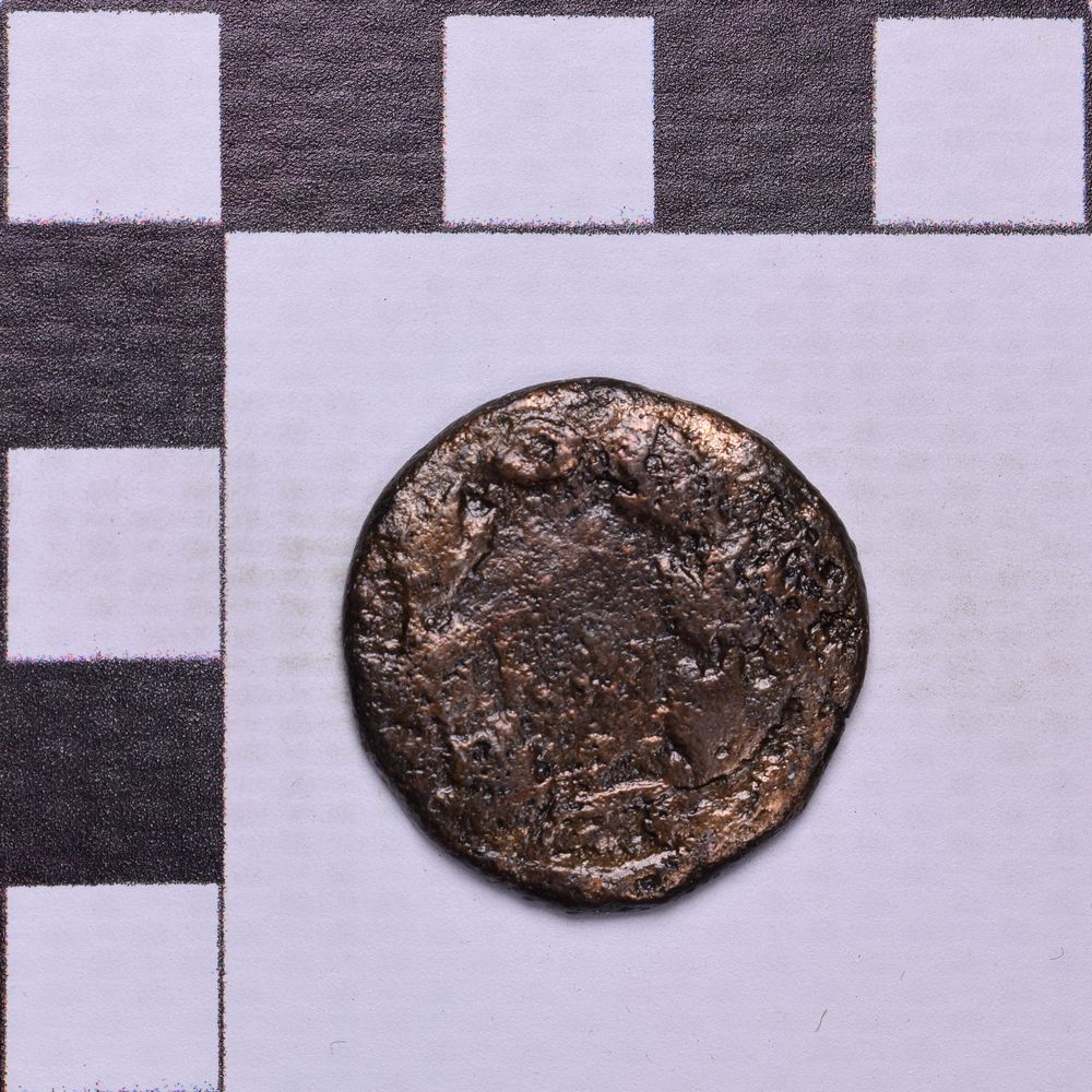 Античная монета · Rhoemetalces I of Thrace · Sestertius · I в., реверс, Государственное бюджетное учреждение культуры Ростовской области "Археологический музей-заповедник "Танаис"