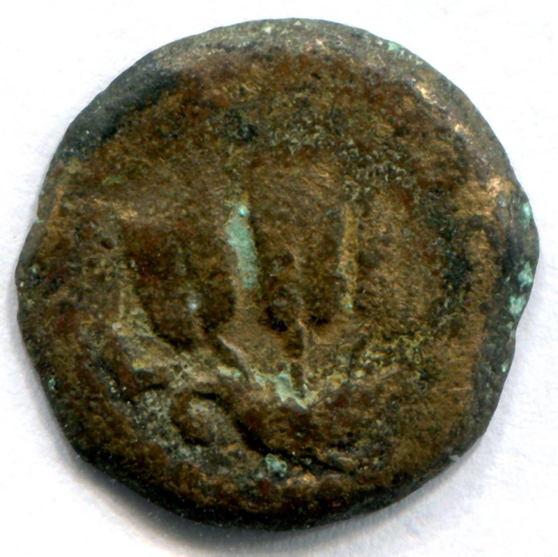 coin rev