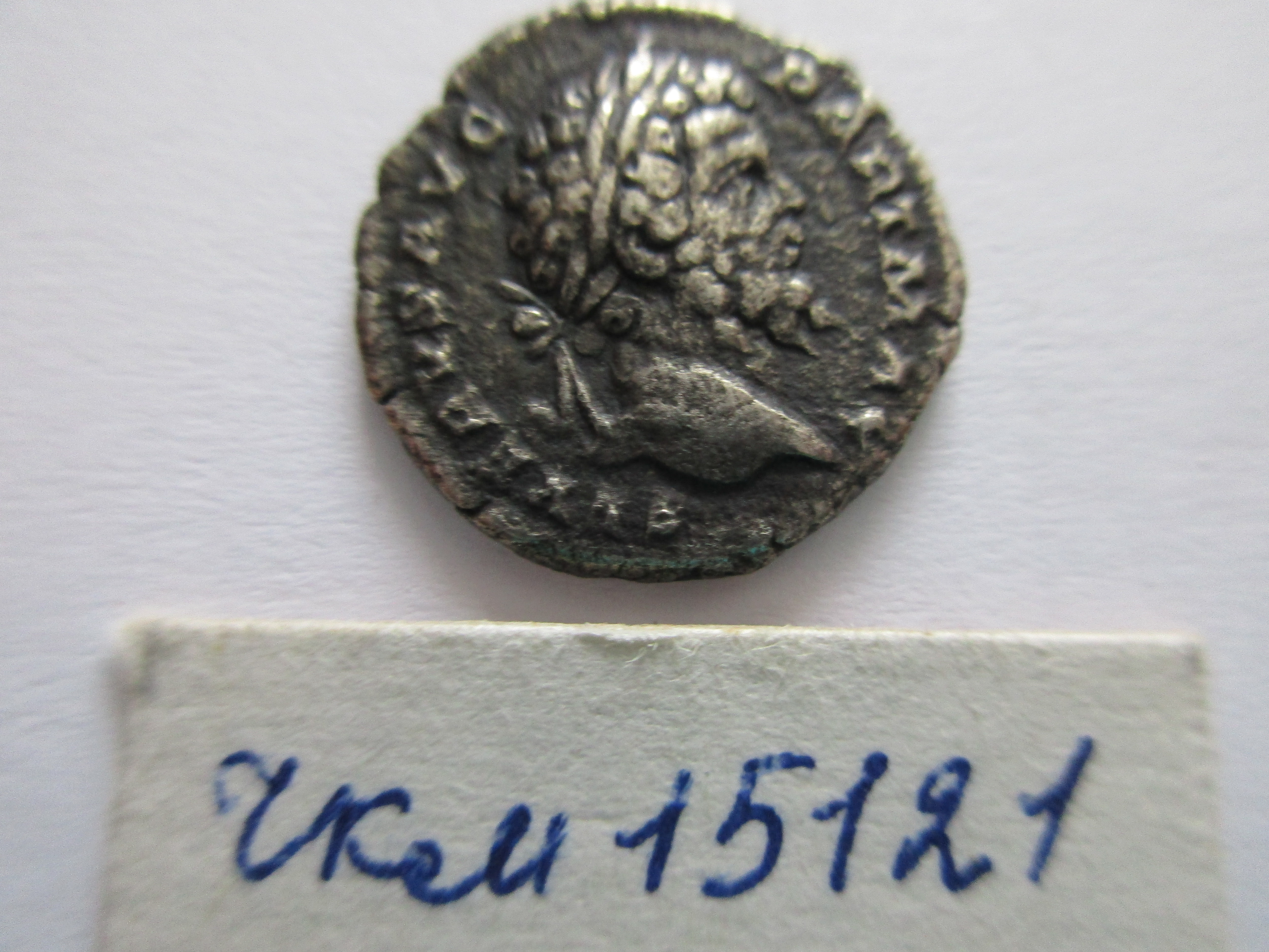Античная монета · Septimius Severus · Denarius · I в., Бюджетное учреждение Чувашской Республики "Чувашский национальный музей" Министерства культуры, по делам национальностей и архивного дела Чувашской Республики