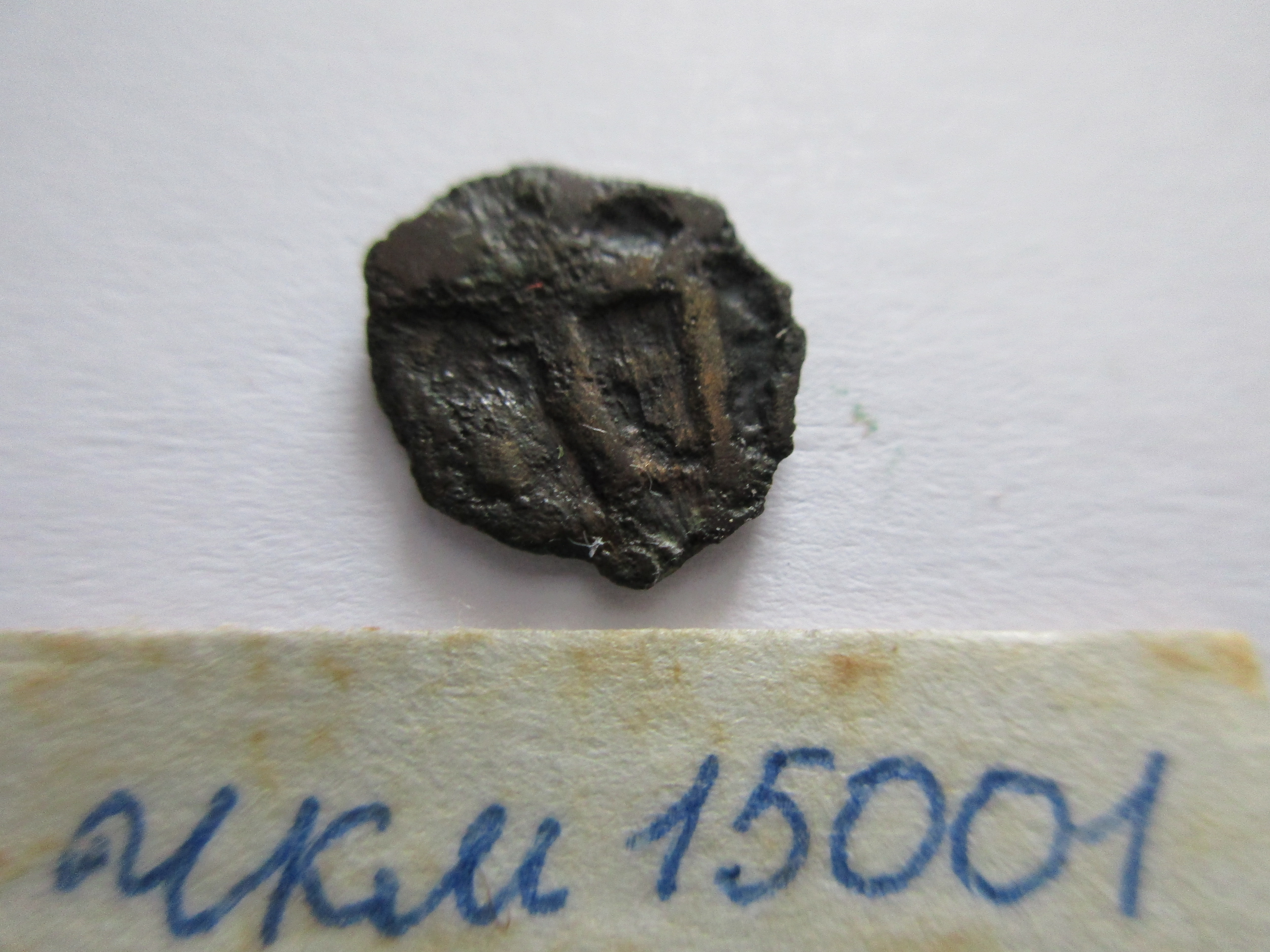 Херсонес · Chersonesus cariae · VIII в. · без определения, Бюджетное учреждение Чувашской Республики "Чувашский национальный музей" Министерства культуры, по делам национальностей и архивного дела Чувашской Республики