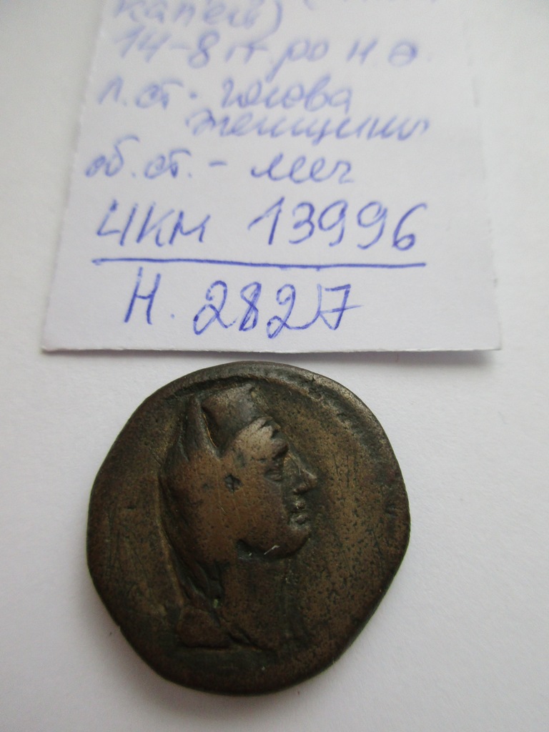 аверс Античная монета · Panticapaeum · VIII в. до н. э. · без определения