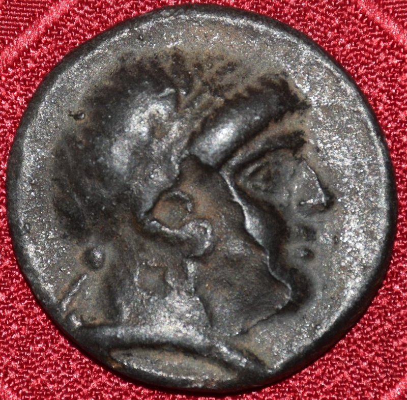 coin rev