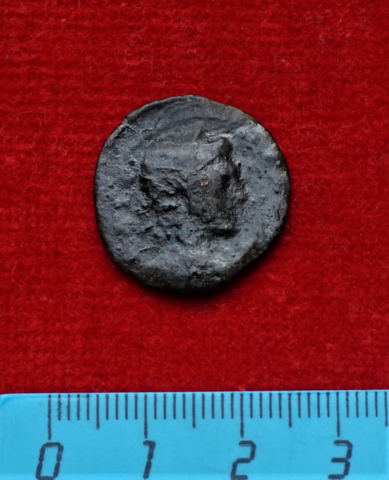 coin obv