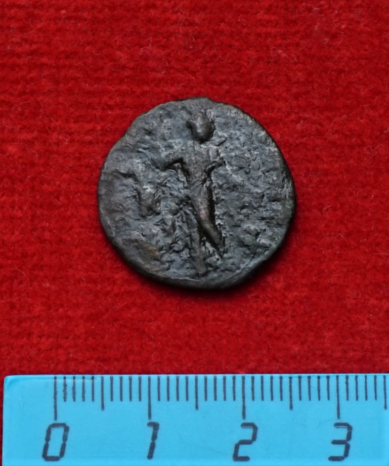 coin rev
