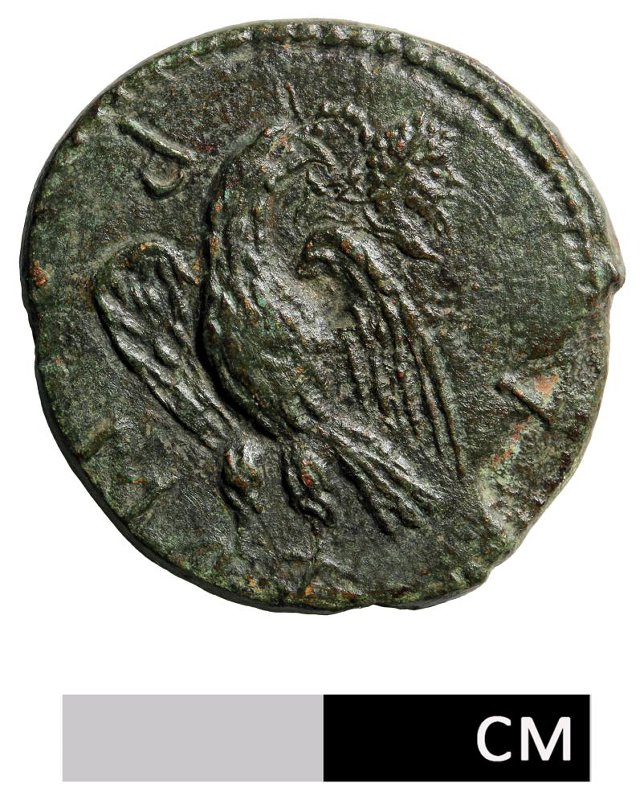 Античная монета · Drachma · I в., аверс, Федеральное государственное бюджетное учреждение культуры "Государственный историко-археологический музей-заповедник "Фанагория"