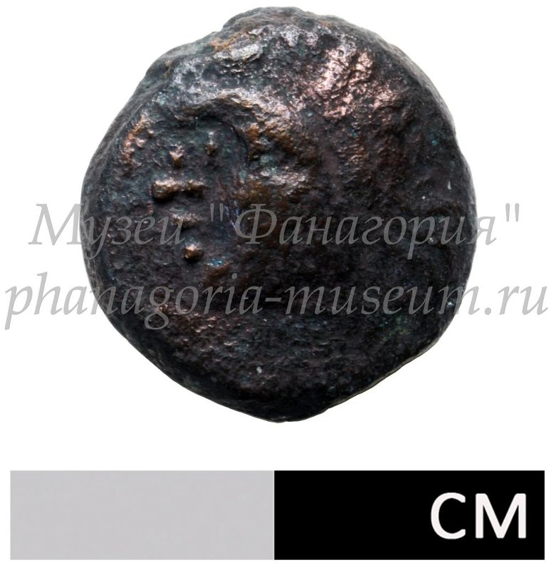 Античная монета · Phanagoria · III в. до н. э. · без определения, аверс, Федеральное государственное бюджетное учреждение культуры "Государственный историко-археологический музей-заповедник "Фанагория"