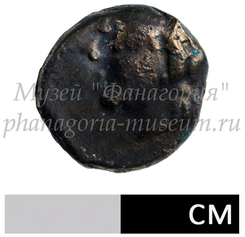 Античная монета · Phanagoria · III в. до н. э. · без определения, аверс, Федеральное государственное бюджетное учреждение культуры "Государственный историко-археологический музей-заповедник "Фанагория"