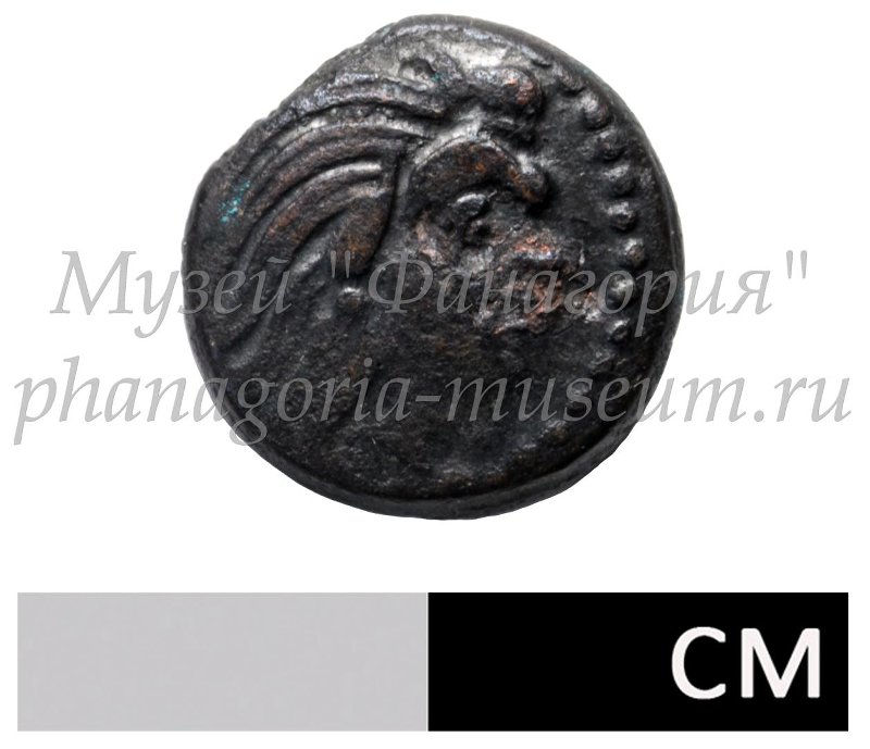 coin rev