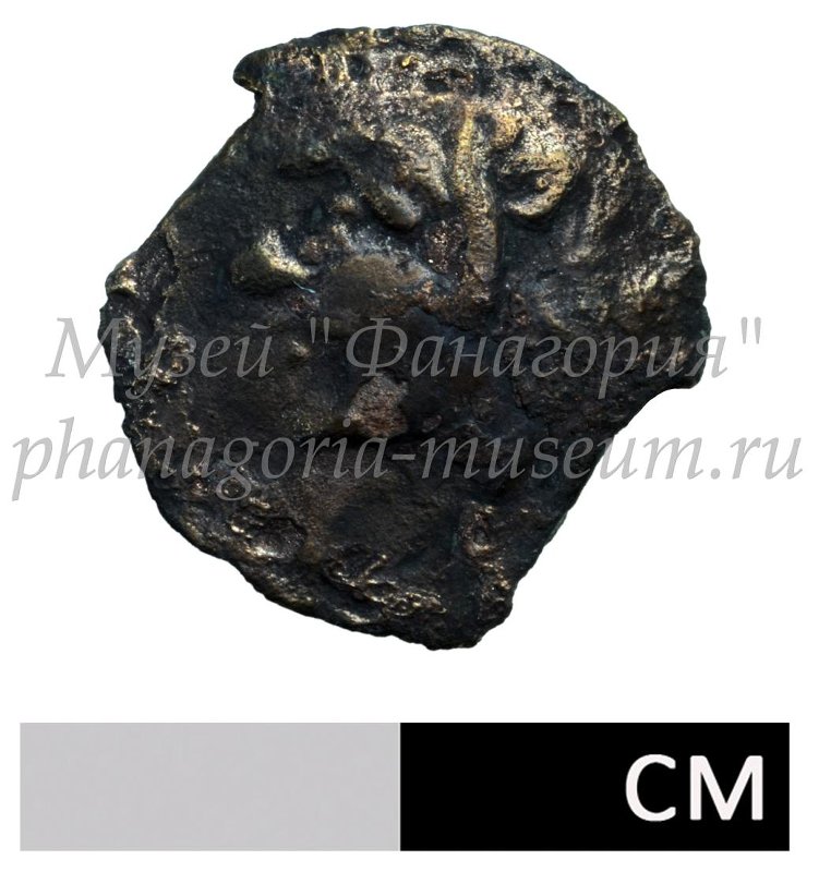 Античная монета · Phanagoria · III в. до н. э. · без определения, аверс, Федеральное государственное бюджетное учреждение культуры "Государственный историко-археологический музей-заповедник "Фанагория"
