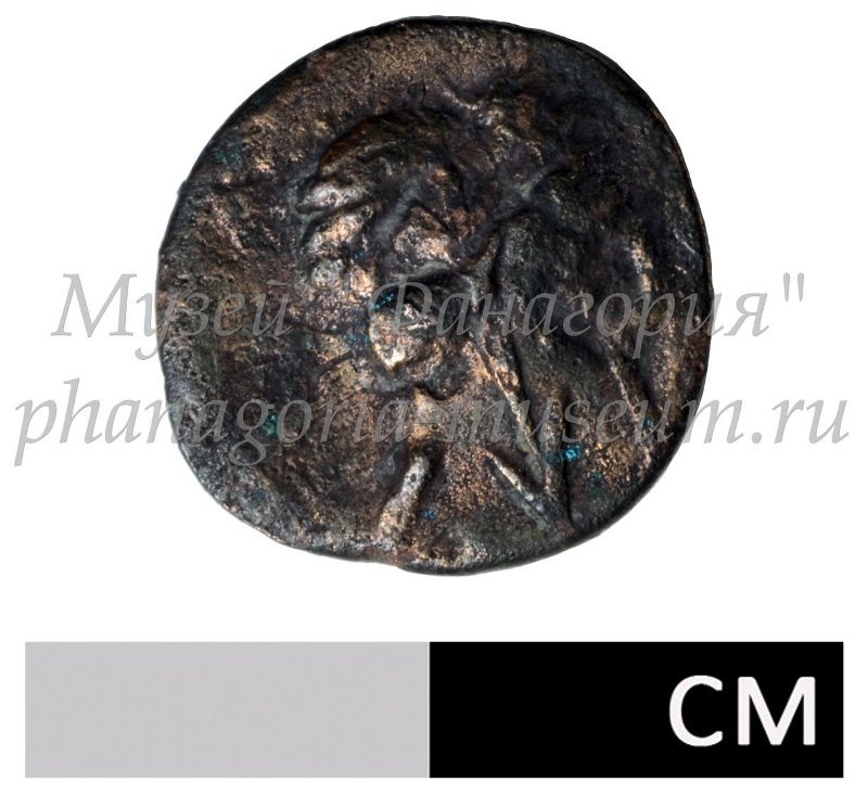 Античная монета · Dichalkon · III в. до н. э., реверс, Федеральное государственное бюджетное учреждение культуры "Государственный историко-археологический музей-заповедник "Фанагория"