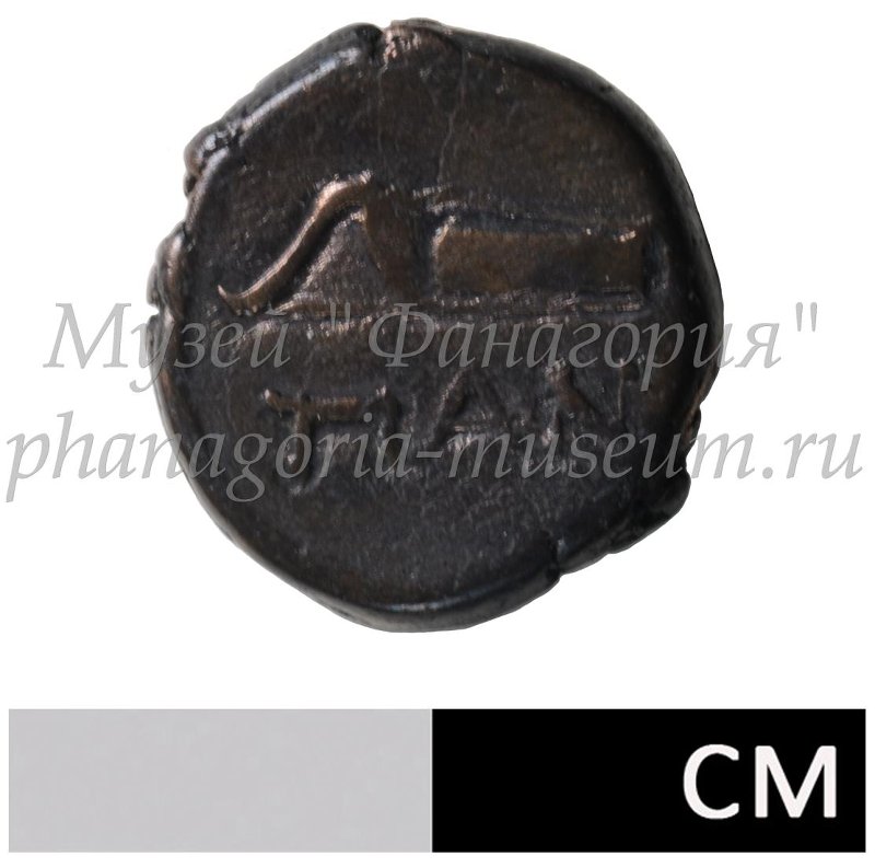 Античная монета · Phanagoria · II в. до н. э. · без определения, аверс, Государственный историко-археологический музей-заповедник