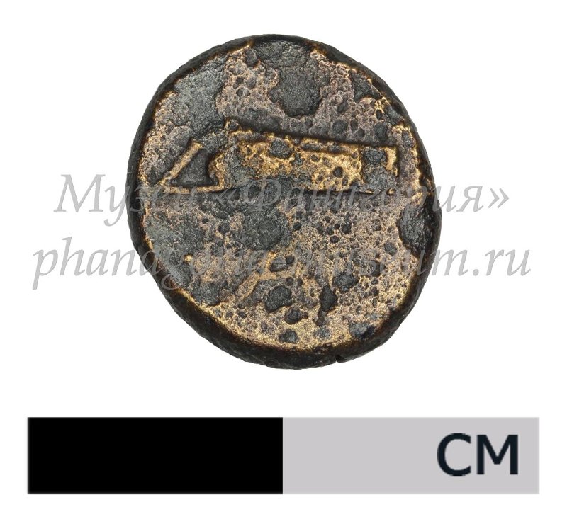 Античная монета · Phanagoria · II в. до н. э. · без определения, реверс, Государственный историко-археологический музей-заповедник