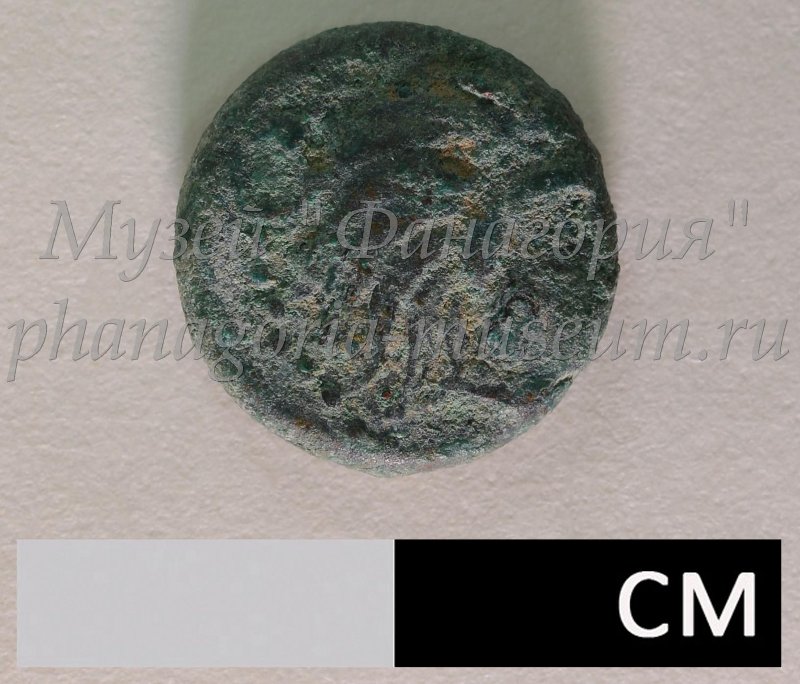 Античная монета · Chalkous · IV в. до н. э., Федеральное государственное бюджетное учреждение культуры "Государственный историко-археологический музей-заповедник "Фанагория"