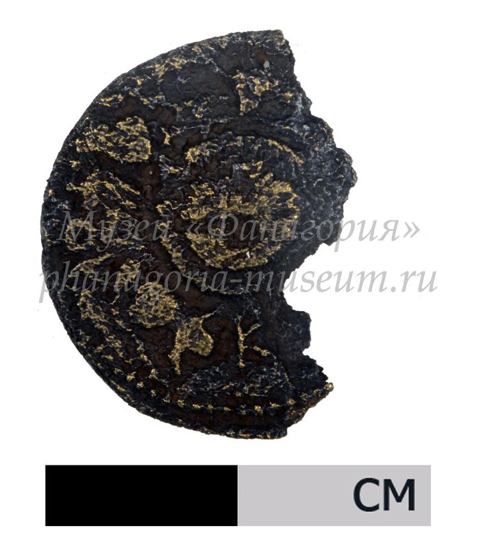 Античная монета · Dupondius · I в., реверс, Федеральное государственное бюджетное учреждение культуры "Государственный историко-археологический музей-заповедник "Фанагория"
