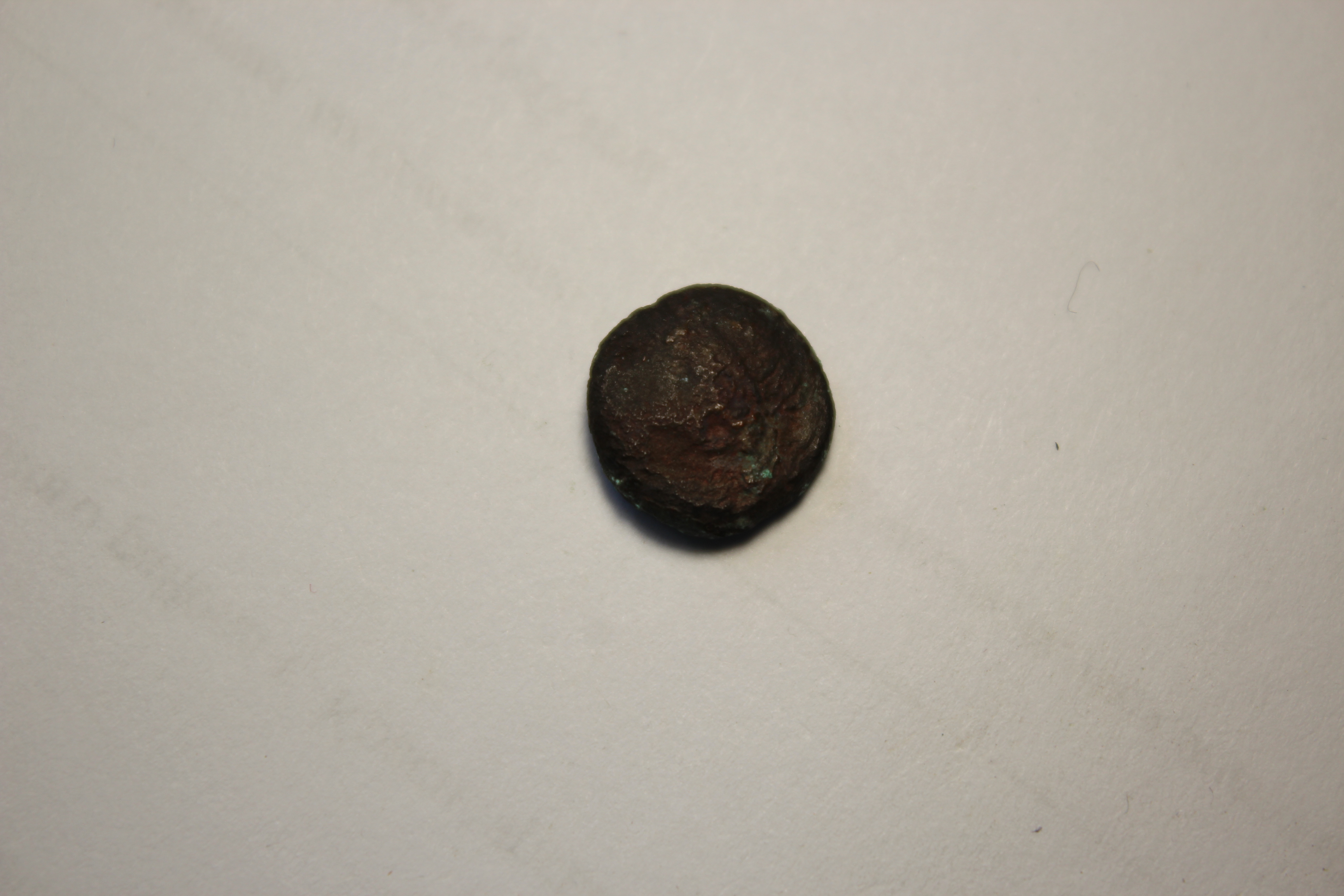 Феодосийский музей древностей муниципального образования городской округ Феодосия Республики Крым · неопределённые, аверс, Муниципальное бюджетное учреждение культуры "Феодосийский музей древностей муниципального образования городской округ Феодосия Республики Крым"