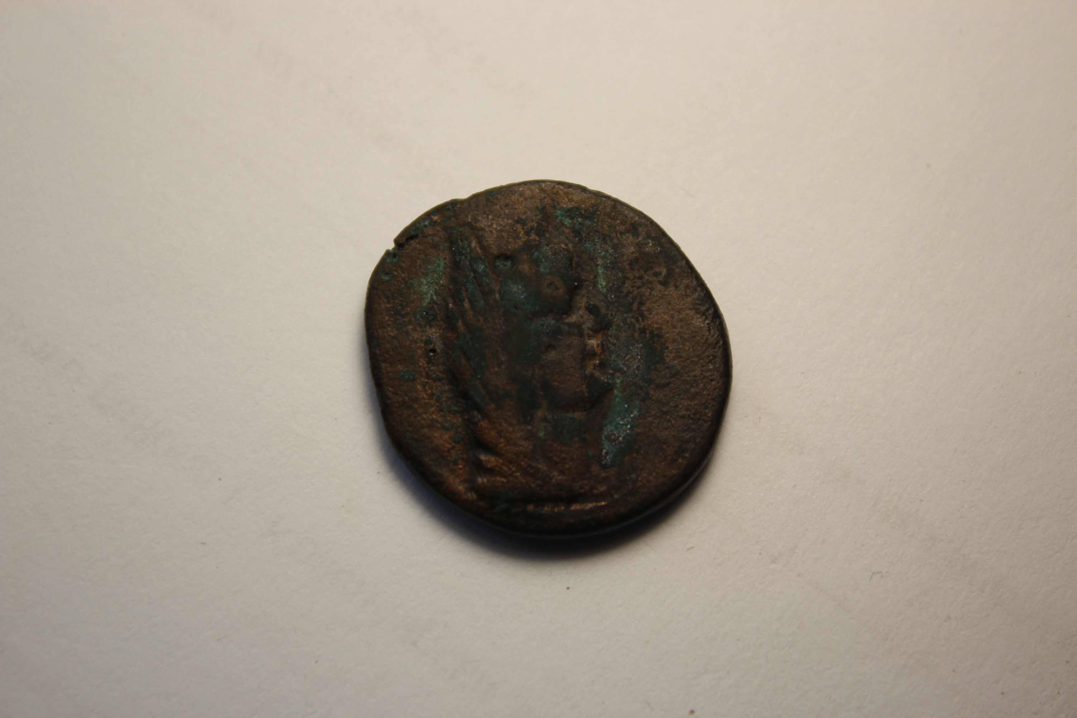 coin rev
