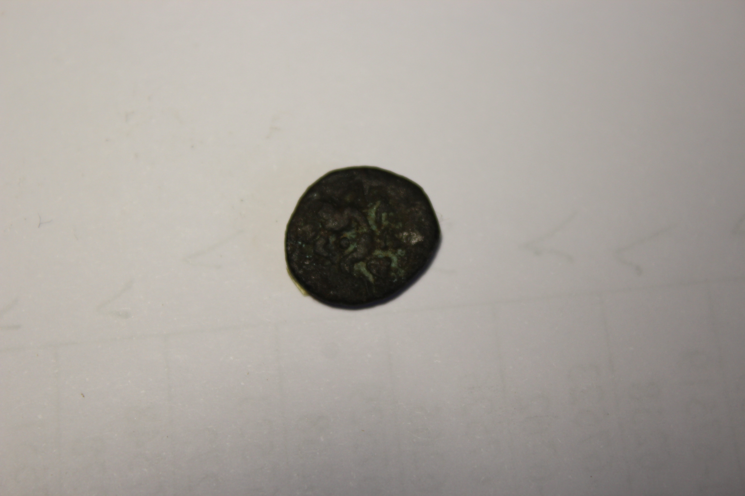 coin rev