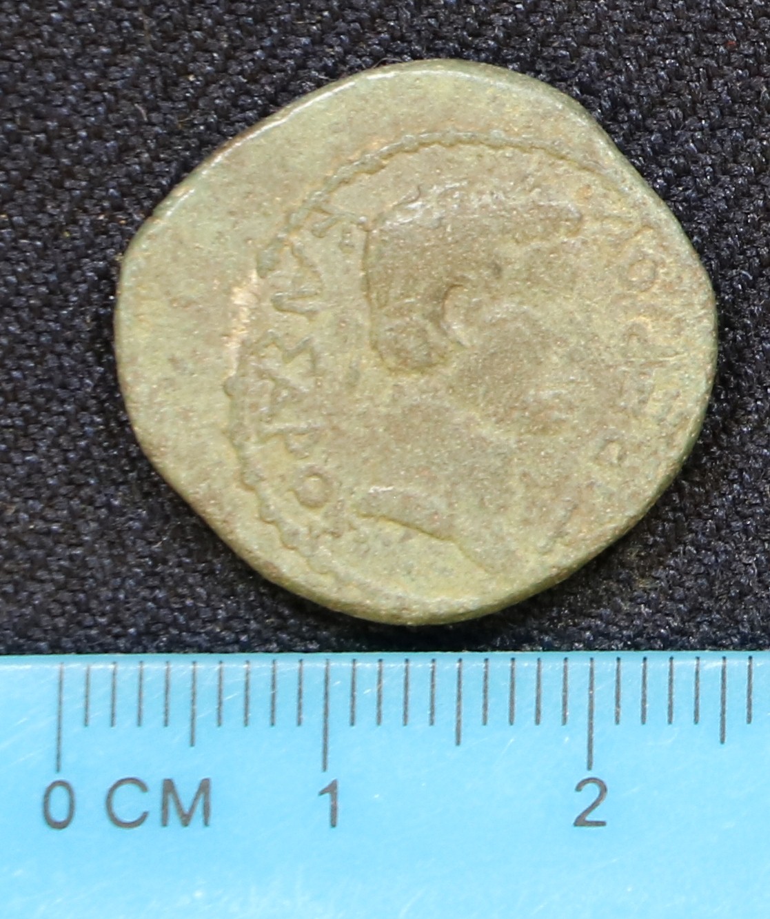 Боспор · Aspurgus of Bosporus · I в., реверс, Муниципальное бюджетное учреждение культуры "Ялтинский историко-литературный музей" муниципального образования городской округ Ялта Республики Крым